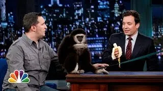 Jeff Musial: Otters, Gibbon and Water Buffalo, Part 1 (Late Night with Jimmy Fallon)