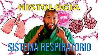 Histología - SISTEMA RESPIRATORIO (Epitelio, Células y su función desde la CAVIDAD NASAL al ALVEOLO)