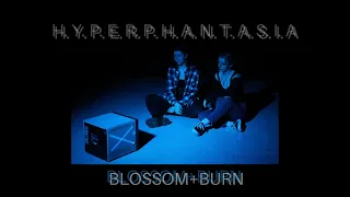 blossom+burn (official music video)