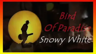 Snowy White - Bird of Paradise (1983) lyrics