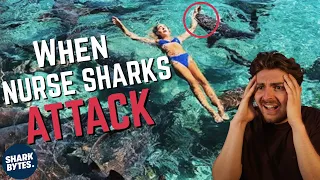 Nurse Shark ATTACKS: Influencer Edition!