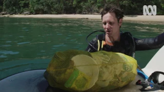 War On Waste: Sydney Harbour Dive