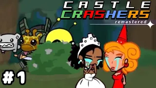 They MUST Think We're GAY | Castle Crashers in 2024 | "Stream" Highlights