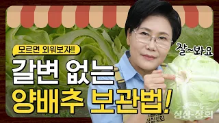 양배추 보관 어렵지 않아요! 양배추 싱싱 보관법 [귀열이네 싱싱상회]