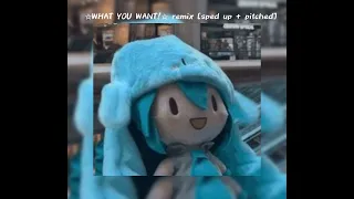 ☆WHAT YOU WANT!☆ remix [sped up + pitched]