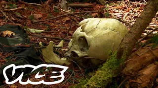 Japan's Forest of Suicides - Aokigahara