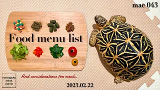 ［Indian Star Tortoise］Daily food menu list and considerations for meals.