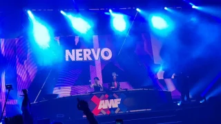 Nervo