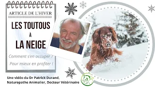 🐕❄️MON CHIEN À LA NEIGE, COMMENT S'EN OCCUPER ?❄️🐕