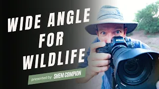 Becoming A Wide Angle Wildlife Photography Master: Pro Tips