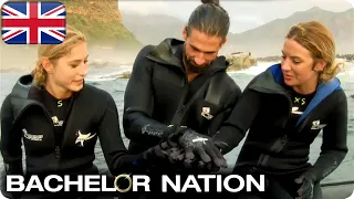 Alex Takes Reanne & Lilly On Diving Date | The Bachelor UK