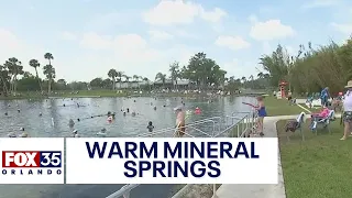 Florida's Warm Mineral Springs Park: Recharge at hot, water-filled sinkhole