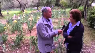 PASSEGGIATE NELLA STORIA - Giardino dell'Iris