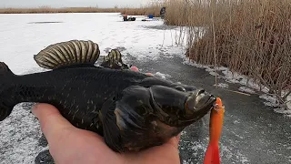 Зимняя рыбалка. Ловля ротана. Охота за трофеем.