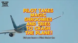 Pilot Takes Magic Mushrooms And Ties To Crash The Plane. #pilot #mushroom