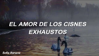 dimash kudaibergen - cisnes - español.