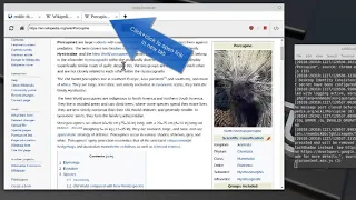 Web browser application using nwjs [Demo]