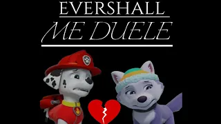 Evershall/ Me Duele/ Paw Patrol