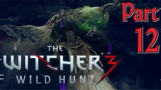 The Witcher 3 Full Gameplay in 60fps/1080p, Part 12: Revealing the Wraith (Let's Play)