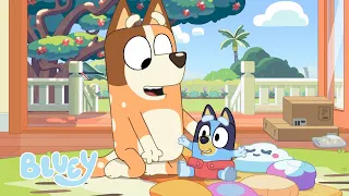 C'est une course de bébé | Episode complet | Bluey Français Chaîne Officielle