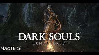 Dark Souls Remastered часть 16 - Нарисованный мир Ариамис (без смертей)