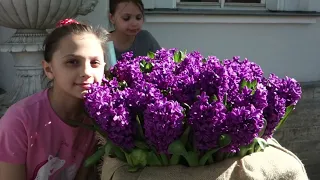 Фестиваль тюльпанов на Елагином острове Санкт Петербурга 18 мая 2024