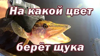 На КАКОЙ ЦВЕТ будет БРАТЬ ЩУКА !!! ЭТО НАДО ВИДЕТЬ ! Как Цвет Силикона Ловит Щуку !!!