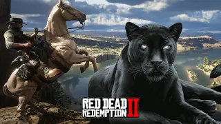 Acertando as contas com a PANTERA LENDÁRIA  -  Red Dead Redemption 2