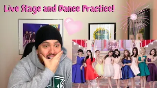 TWICE - "What Is Love" Dance Video/Live Stage Reaction!