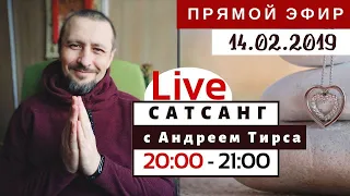 Live Сатсанг с Андреем Тирса 14.02.2019 (чт)