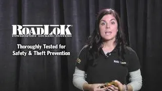 BIKER'S CHOICE RoadLok: Anti-Theft System