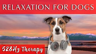 Soothing Music for Dogs to Calm Down, Relax & Sleep  | Dog Music Therapy Calming Aid for Relaxation