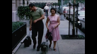 Nixon Family Films: New York City and dogs, 1964
