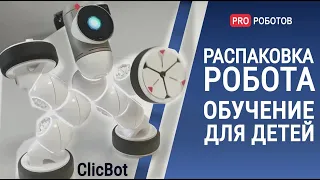 Обзор образовательного робота Clicbot // Крутой домашний робот для детей и взрослых