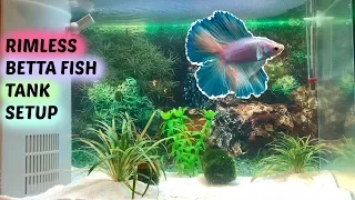 Betta Fish Rimless Tank Set Up | Top Fin | Nenimals