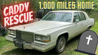 1991 Cadillac Brougham RESCUED but it DIED ☠️ 1,000 miles home 10 years off the road  D’Elegance