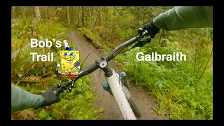 Bob's Trail - Galbraith (Bellingham) MTB