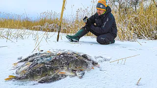 ❄️НА ЩО ЛОВИТИ, 🐟 коли окунь Є але НЕ КЛЮЄ? Зимова риболовля на балансир і безмотилки.