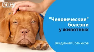 Человеческие болезни у животных