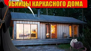 Убийцы каркасного дома. Мыши, плесень, насекомые или...