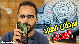 كل ما تريد أن تعرفه عن الباد سيكتور (سرطان الهارد) - [معلومة تك 20]