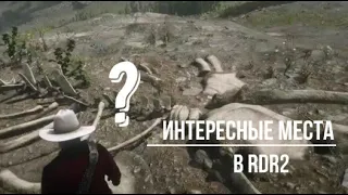 !!! Самые интересные места в RDR2 !!!