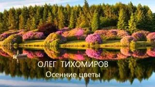 Олег Тихомиров ★ Осенние цветы