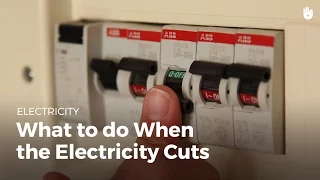 What to Do When There Is a Power Outage | DIY Projects