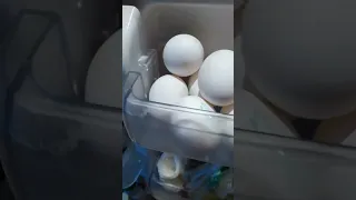 🌈🌈🥚🥚🥚Most Trending Satisfying arrangement eggs in fridge #short #viral #trending #asmr