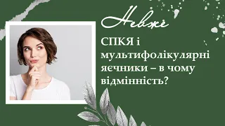 СПКЯ і мультифолікулярні яєчники – в чому відмінність?