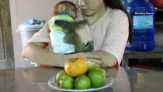 Oh My Goddess!! Monkey Look So Sad Need Mom Hug Because He Still Sleepy