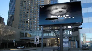 that dog who f###ed up bruh is everywhere