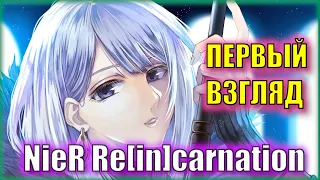 ГЛОБАЛЬНЫЙ релиз NieR Re[in]carnation | Первый Взгляд