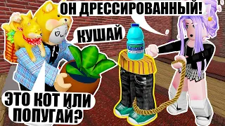 МЫ С ЛАНОЙ ЗАВЕЛИ ПИТОМЦА... Roblox SCP-3008